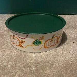 Tupperware fall storage container